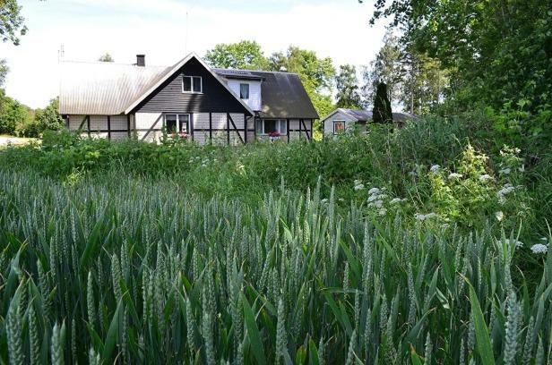 Höganäs Smedsgardenヴィラ エクステリア 写真